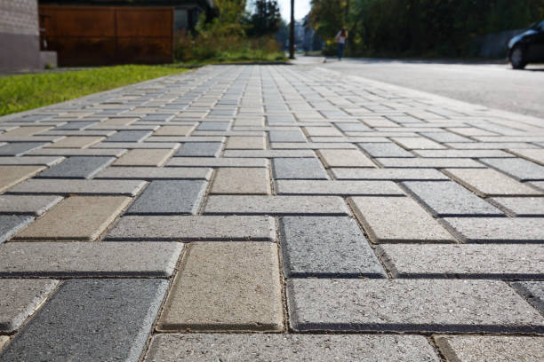 Best Driveway Paving Contractor  in Timber Pines, FL