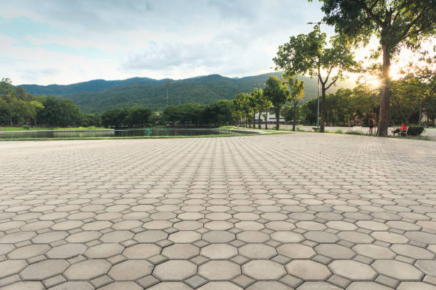 Best Custom Driveway Pavers  in Timber Pines, FL